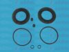 AUTOFREN SEINSA D4120 Repair Kit, brake caliper